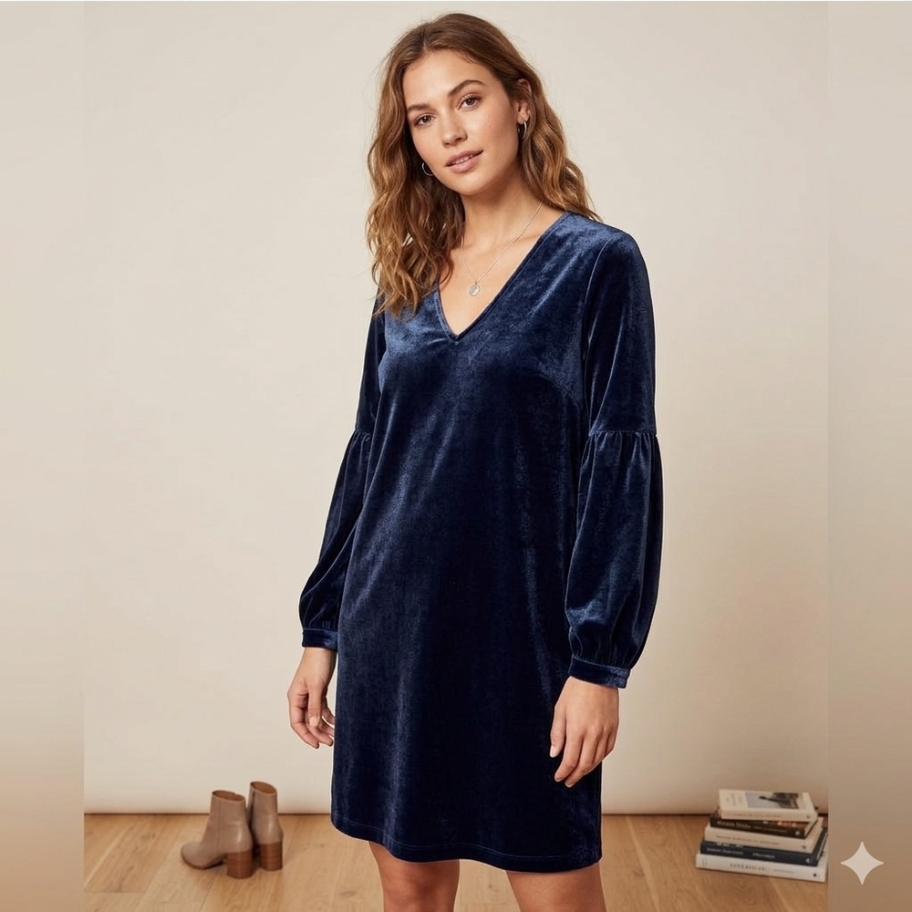 Madewell Velvet Balloon-Sleeve V-Neck Dress in Navy - Excellent Condition!
